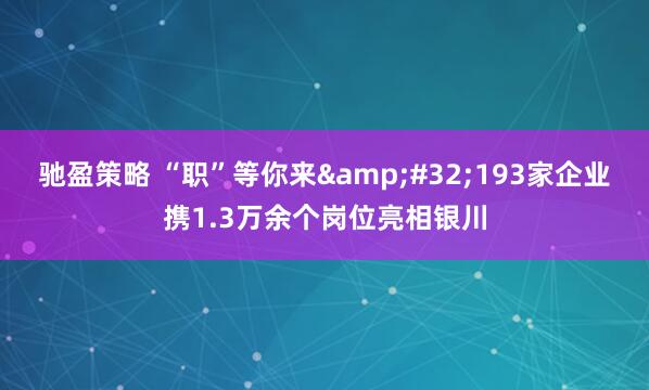 驰盈策略 “职”等你来&#32;193家企业携1.3万余个岗位亮相银川