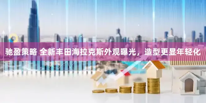 驰盈策略 全新丰田海拉克斯外观曝光，造型更显年轻化